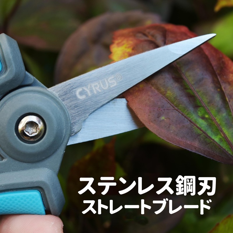 CYRUS 5.9 inches (150 mm) Stainless Steel Bud Shears, Lightweight