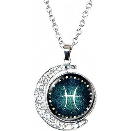 DEQIYIJI Birthday Gifts For Women Men Zodiac Sign Moon Pendant Necklace Jewelry Astrology 12 Constellation Horoscope Stuff Pisces