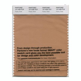 Pantone Smart Swatch 15-1430 Pastry Shell