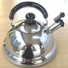 Takei Kisakusho Quick One Energy Saving Whistling Kettle, 0.6 gal