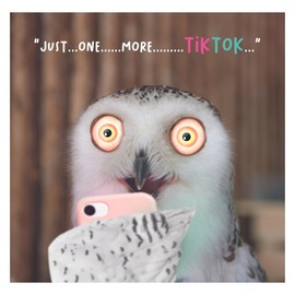 Virtual Safari, Birthday Card for Him, Male Birthday Card, Funny Birthday Card for Him