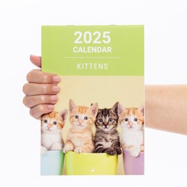 Family Calendar 2025 Slim Month to View Monthly Planner Organiser for Home Office School with UK Holidays (Kittens)