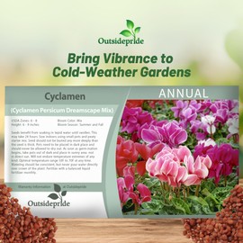 Outsidepride Dreamscape Mix Cyclamen Seeds - 10 Pcs Compact, Annual Flowering House Plants with Attractive Blooms & Foliage, for Shaded Garden Areas, Small Spaces, Containers, Indoors & Outdoors