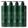braided hair Daenggi Meori Herbal Special Hair Loss Shampoo, 4 bottles, 1L / 댕기머리 허벌 스페셜 탈모 샴푸, 4개, 1L
