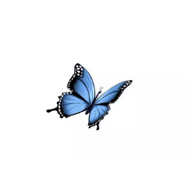 CustomDeal US Blue Butterfly (T34L) Side View Butterfly Vinyl Decal Sticker