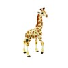 Jungle Animal Giraffe Standing Small