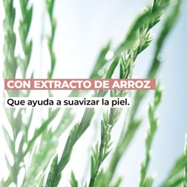 YVES ROCHER Set BB Cream acabado natural: Bálsamo Anti Imperfecciones unificador de tono 6 en 1 (50 ml) + Polvo Traslúcido tono Universal (15 g) (LIGH