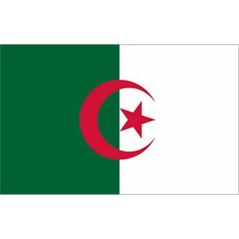 GLOBAL ADVERTISING SOLUTIONS 3x5 Country National Flag Made in USA Bright Colors Long Lasting and Weather Resistance Country State Flag only Without Pole kit and Mount (Algeria)