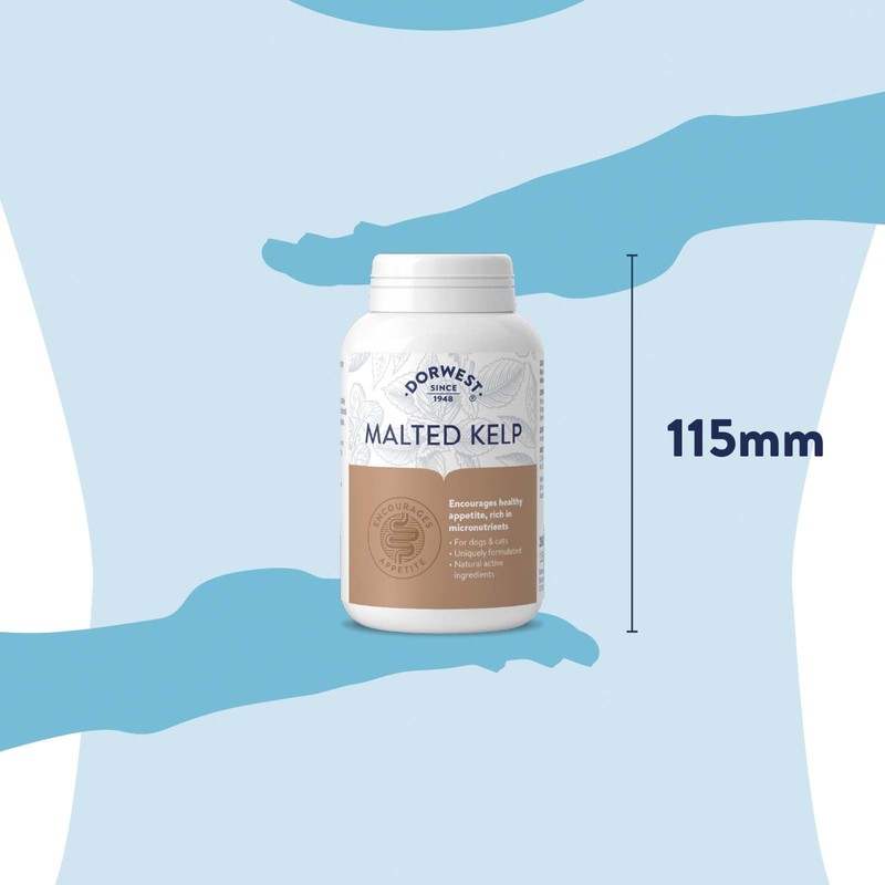 Dorwest Herbs Malted Kelp Tablets for Dogs and Cats 200