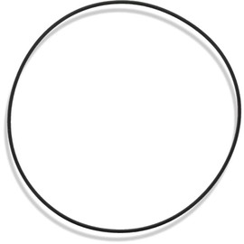 Tiki Island Pool Express Compatible with Pentair Triton II Closure O-Ring 154493 Fits Side Mount Valve Models TR-40, 50, 60, 100, 100HD, 140