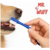 Cepillo Dientes Para Perro Gato 3 Pzas Doble Cabezal Mr