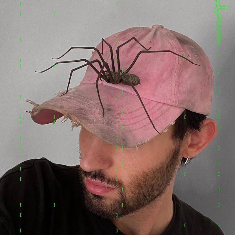 Realistic Simulation Spider Sticker for Fridge Decor Realistic Simulation Spider