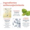 Avene Avène Hyaluron Activ B3, Crema Regeneradora con Niacinamida, 40