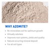 Azomite Organic Micronized Trace 0-0.2 Fertilizer Bulk Bag of 67