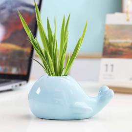 GeLive Ceramic Hydroponic Vase Water Plant Holder Whale Planter Mini Air Succulent Pot Tabletop Craft Ornament Office Desk Accessories Pencil Holder Decor Light Greenish Blue