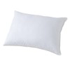 National Allergy 2 Pack Allergy and Bed Bug Proof Pillow