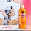Nefertiti Shampoo Proteína De Almendras - 1 L