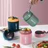 Fulasun Insulated Food Flask - 16oz/480ML Stainless Steel Jar Vacuum