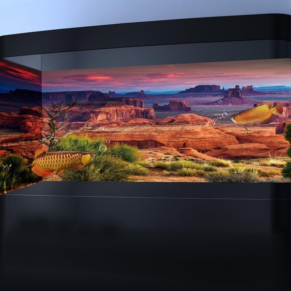 BATRUG 48X18IN Desert Loess Rock Cactus Oasis Reptile Habitat Background,