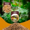 MEZCLA DE SEMILLAS P/LORITOS Y NINFAS 500 G
