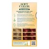 Soft Color Tinte Semi Permanente 5554 Cobrizo | Crema, Agua,