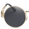 Dollger 2 Pack Sunglasses Metal Retro Round Steampunk Glasses Mirror
