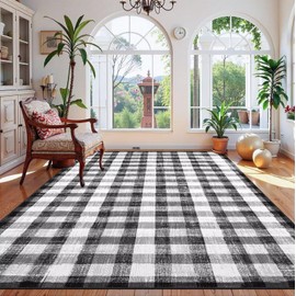 COLORPAPA Checkered Area Rug 5x7, Washable Rugs for Living Room, Modern Neutral Non Slip Indoor Carpet for Bedroom Office Patio Dining Room (Black and White)