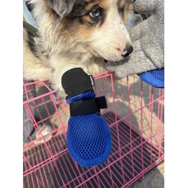 LONSUNEER Dog Shoes Soft and Lightweight, Dog Booties with Breathability Fabric, Dog Boots for Spring Summer and Fall Set of 4 Size Large Color Blue