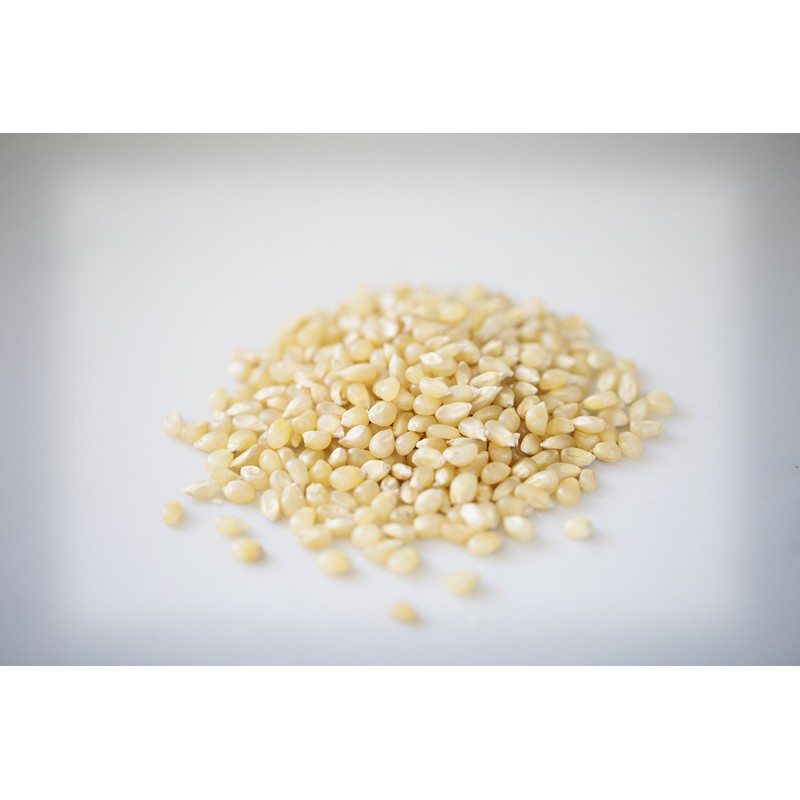 Amish Country Popcorn | 3-2 lb Bags | Baby White