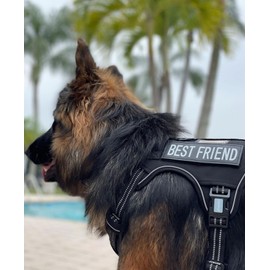 Auroth Tactical Dog Harness for Large Dogs No Pull Adjustable Pet Harness Reflective Working Training Easy Control Pet Vest Military Service Dog Harnesses Black XL