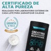 Creatina Monohidratada Micronizada Polvo 100 Alta Pureza Certificada Pre Workout