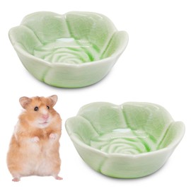 BNOSDM 2 Pcs Hamster Ceramic Food Bowl Flower Series Gerbil Drinking Bowls Anti-Turning Food & Water Dish for Dwarf Syrian Hamsters Gerbil Chinchilla（Green, Rose Pattern）
