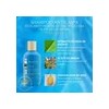 2 Shampoo Anticaspa Terramar Reduce Comezón Elimina La Caspa