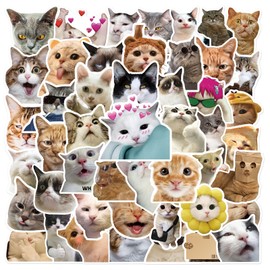 50PCS Funny Cat Stickers,Meme Cat Stickers,Teens Boys and Girls Sticker Pack Vinyl Skateboard Guitar Door Laptop Luggage Car Bike Water Bottle Birthday Party Supplies Stickers