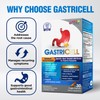 LABO Nutrition GASTRICELL - Acid Reflux, Heartburn, Recurring Gastric Discomfort,