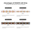 SEZO WS2815 LED Strip RGB IC (Upgraded WS2812B) DC12V 5M
