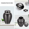 Minicremation Urns for Ashes Butterfly Bird Heart Wings Large Cremation
