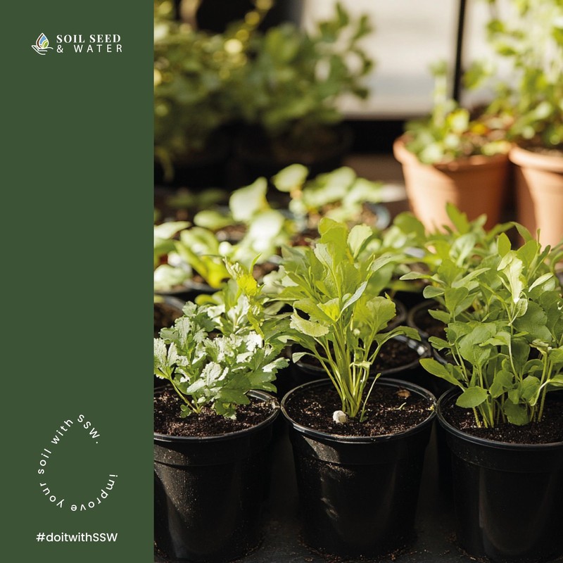 Soil Seed & Water PlantPal