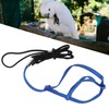 Parrot Harness Leash Adjustable Bird Flying Harness Traction Rope with