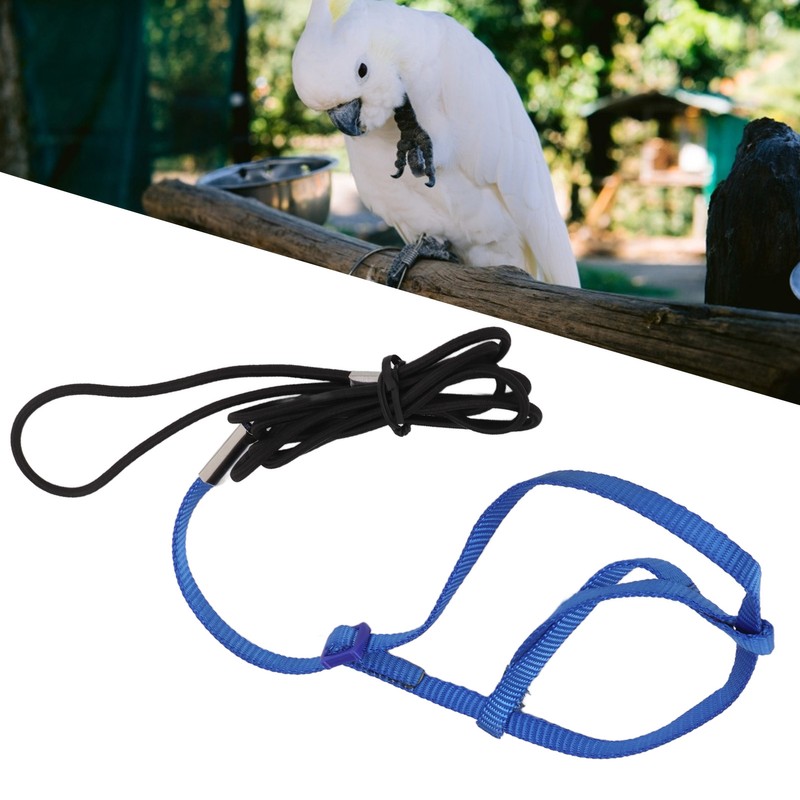 Parrot Harness Leash Adjustable Bird Flying Harness Traction Rope with