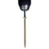 Timber Wolf TW40050 Woodscrews - 4.0 x 50mm - Box