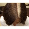 LDN Professional Root Touch Up Kit - No.1 Salon Root
