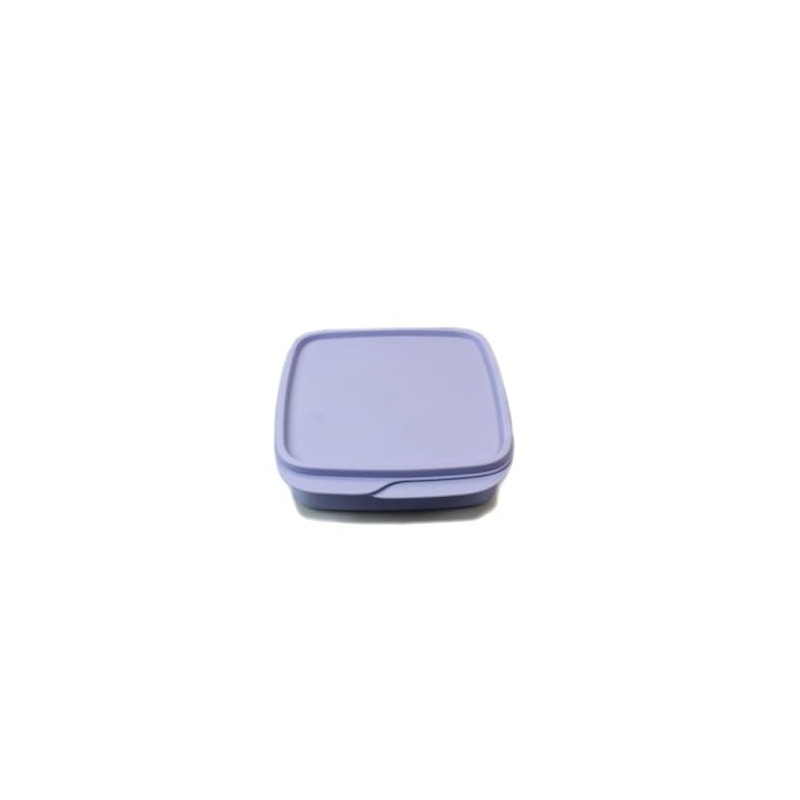 Tupperware to Go Lunch Box Clever Break 590 ml with