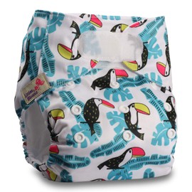 Littles & Bloomz, Reusable Pocket Cloth Nappy, Fastener: Hook-Loop, Set of 1, Pattern 67, with 2 Bamboo Charcoal Inserts