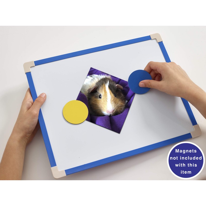 Brainstorm Toys B1500 Lockdown Home-Schooling Sensation A4 Magnetic Dry Wipe