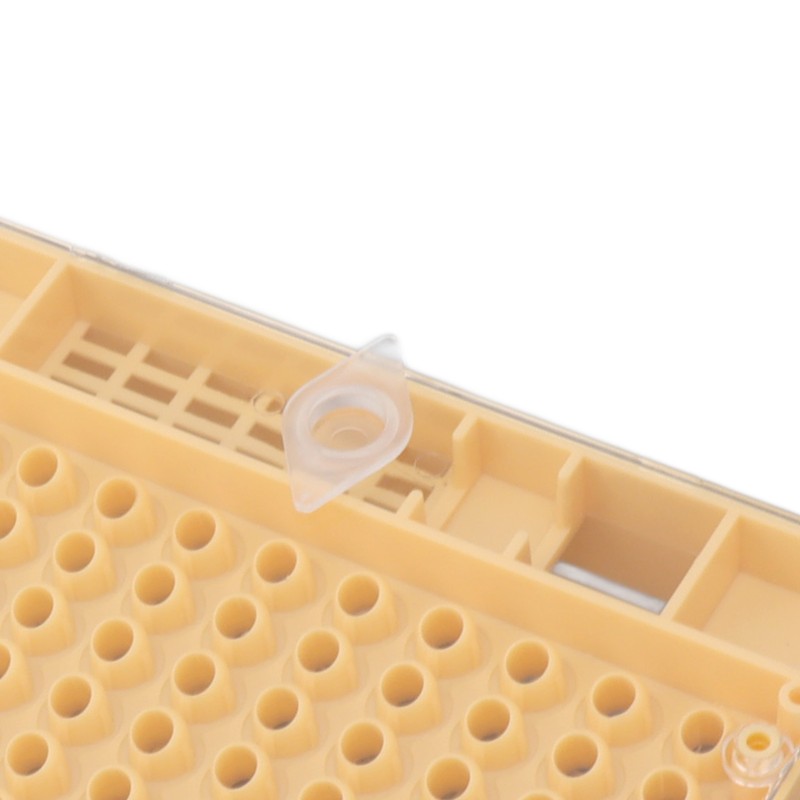 Queen Bee Rearing System Plastic Breeding Cell Cup Kit Beekeeping