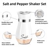Pack of 2 Salt and Pepper Set(White),a Small Brush and