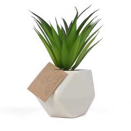 Bornbridge Artificial Succulent - Faux Agave Stricta in Ceramic Geometric Planter - Single Potted Plant