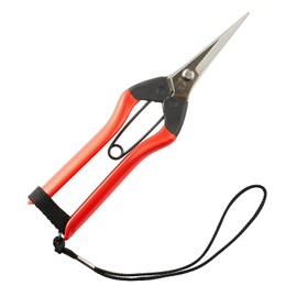 Agurino Kura (Agurino Kura) Sprout Shears, Stainless Steel, 7.3 inches (185 mm), Strap Included, Made in Japan, Made in Niigata Prefecture, Made in Sanjo, For Fine Tasks, Rust and Sib Resistant, For