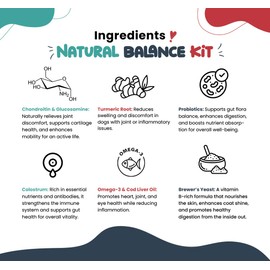 Multivitamin, Probiotics & Allergy Relief Chews for Dogs – Joint Health, Immune Support, Digestive Aid, Skin & Coat Health with Glucosamine, Omega Fish Oil, Probiotics & Antihistamines (90 Ct Each)